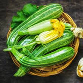 Zucchini