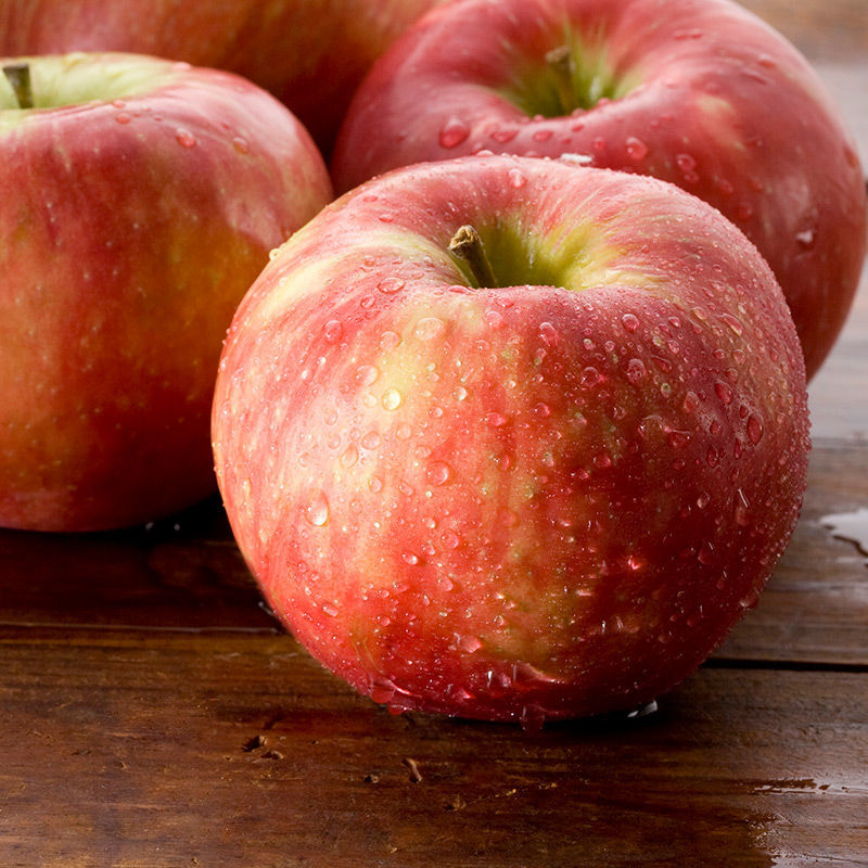 Honey crisp Apple