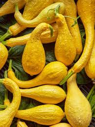 Crooked neck Squash