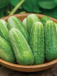 European cucumbers