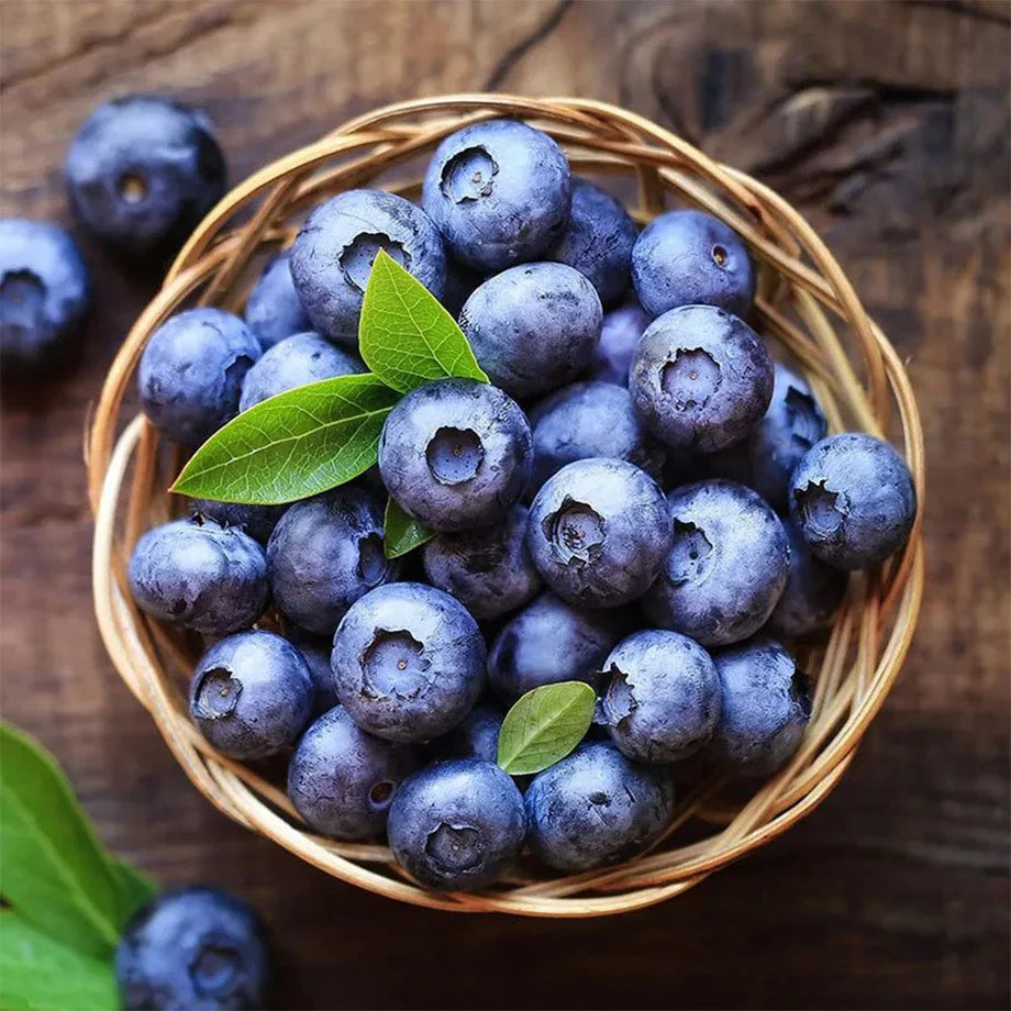 Blueberry
